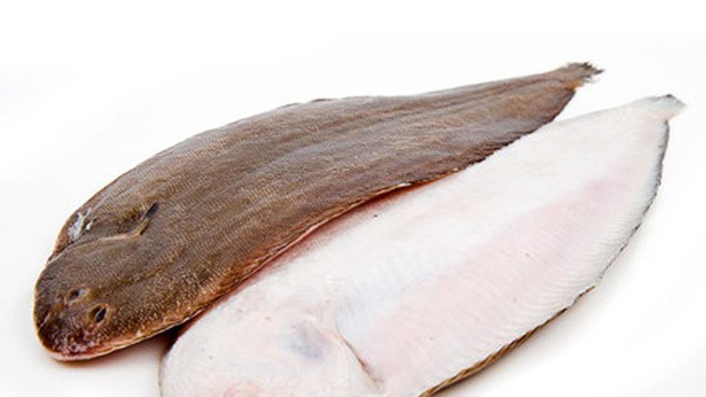 Lenguado