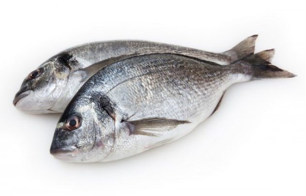 Dorada o zapatilla