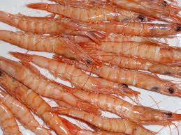 Gambas